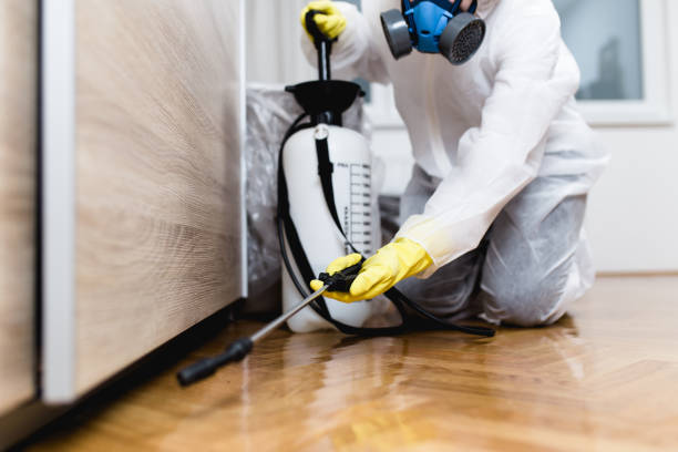 Best Residential Pest Control  in Maury, NC