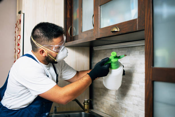 Best Cockroach Control Services  in Maury, NC