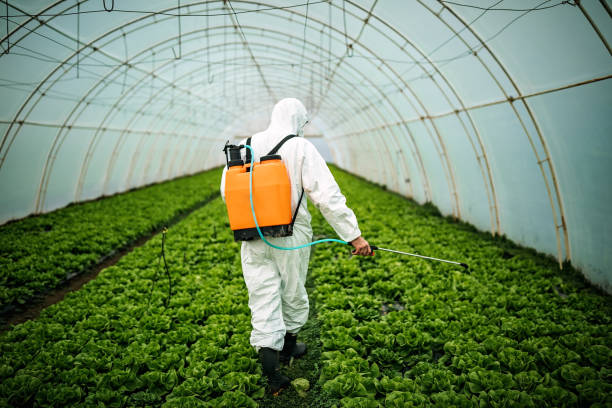 Best Residential Pest Control  in Maury, NC