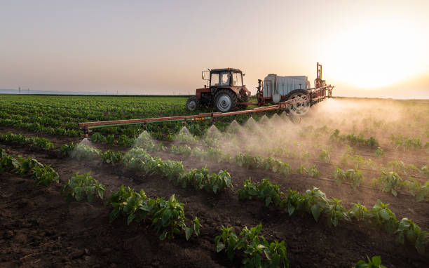 Best Mosquito Control Services  in Maury, NC