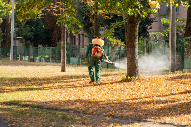 Best Termite Control Services  in Maury, NC