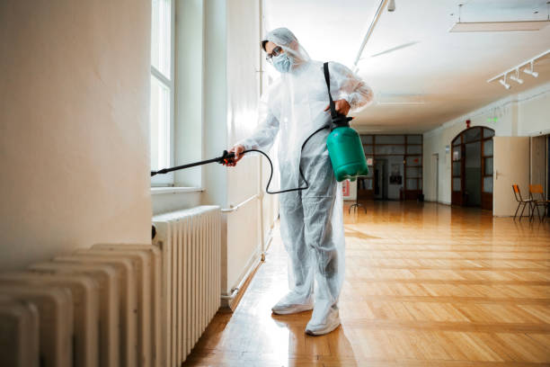 Best Local Pest Control Services  in Maury, NC