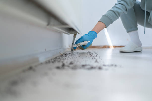 Best Bed Bug Extermination  in Maury, NC